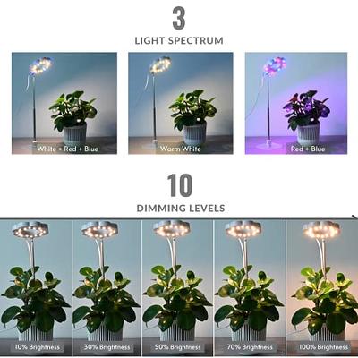 Grow Light,4 Head Grow Lights for Indoor Plants with Red Blue Spectrum,  4/8/12H Timer, 10 Dimmable Brightness for Indoor Succulent Plants Growth, 3