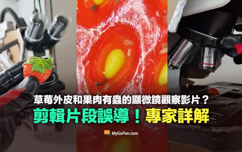 【部分錯誤】網傳草莓外皮和果肉有蟲的顯微鏡觀察影片？誤導剪輯！專家詳解