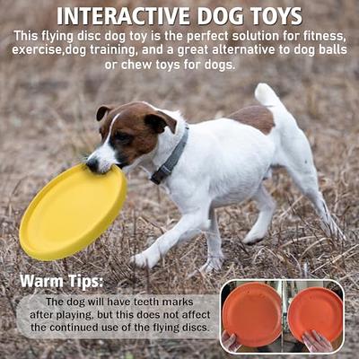 Departments - Kong Classic Dog Toy Flyer Frisbee Rubber Red Small