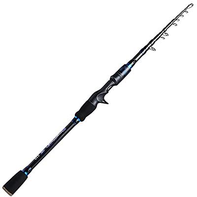 Sougayilang 4 Section Bass Casting Spinning Fishing Rod Light Weight High  Carbon Fishing Rods 
