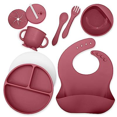 Roeko Baby Led Weaning Supplies - 6-Piece Baby Feeding Set with Lid -  Suction Pl