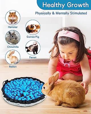 Rabbit Foraging Mat, Guinea Pigs Toys for Boredom, MWAOWM 12 x 12 Polar  Fleece Snuffle Feeding Mat Small Pet Puzzle Toy Bed for Bunny Hamster  Chinchillas Ferrets - Yahoo Shopping