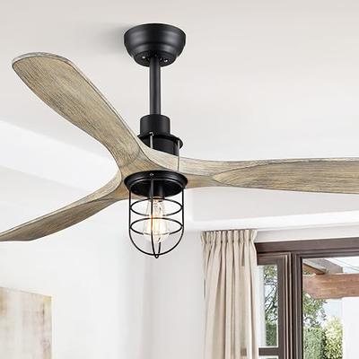 LEDIARY 16in Caged Fandelier Ceiling Fan with Light and Remote