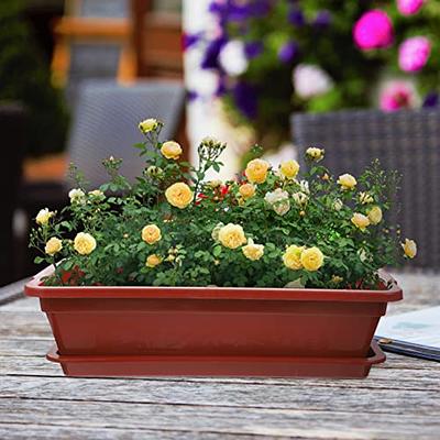 FUNOMOCYA Plastic Plant Trays Plastic Trays for Plants Veggie