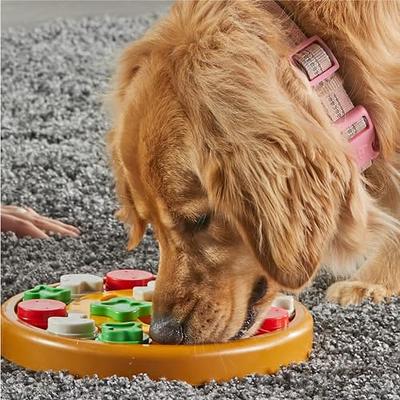 Vibrant Life Interactive Treat Dispensing Pizzeria Puzzler Dog Toy, Size: One Size