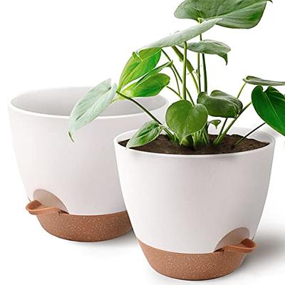 Giraffe Creation 7 inch Large Plant Pots, 5 Pack Flower Pots Outdoor  Indoor, Planters with Drainage Hole and Tray Saucer