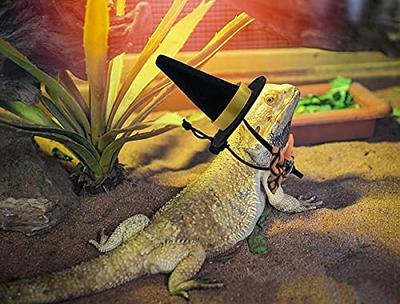 Bearded Dragon Bowtie Hat Lizard Leash with Harness Reptiles Small Pets  Animals