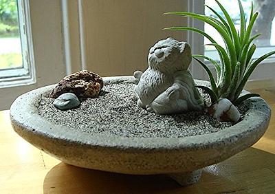Zen Garden Stone Bowl Terrarium with Bonsai Cat Buddha Sculpture and Air  Plant/Cat Lover Gift - Yahoo Shopping