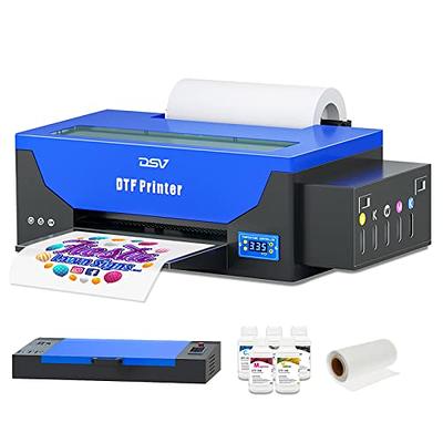  Enlite DTF Ink 250ML Combo Pack, Premium Pigment Ink for PET  Film Heat Transfer Printing, Refill for DTF Printer with Epson printhead  DX5 DX7 5113 XP600 I3200 4720 TX800, 2W+1B+1C+1M+1Y 