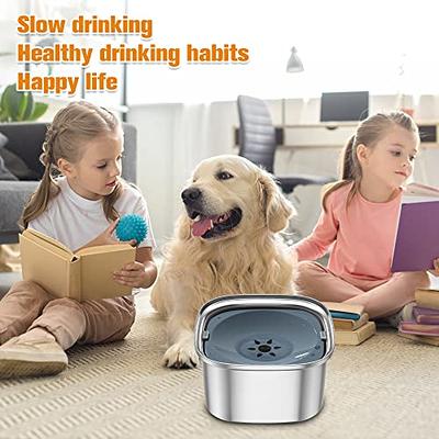 LIDLOK Dog Water Bowl Elevated Dog Bowls Slow Water Feeder Dog Bowl with Floating Disk No-Spill Water Bowl for Dogs (4.4L Water Bowl)