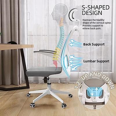 Monhey Ergonomic Office Chair Office Chair with Lumbar Support