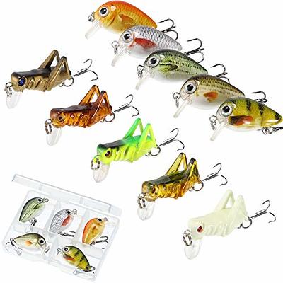 10 Pieces Mini Fishing Lures Fishing Hard Baits Hooks Crankbaits Fishing  Lures Baits Topwater Lures for Freshwater Saltwater Trout Bass Perch Fishing  Lures with Box (Locust and Fish Series) - Yahoo Shopping