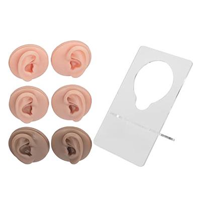 Human Tongue Mouth Model,Silicone Tongue Model, Human Tongue Model Soft  Silicone Lifelike Acrylic Stand Mouth Model for Jewelry Display (Skin Color)