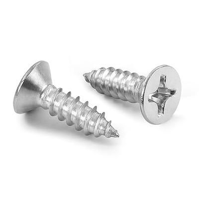 6 Flat Head Phillips S/S Wood Screws