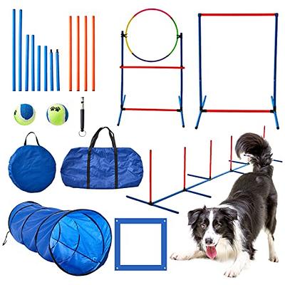Pet Agility Equipment: The Portable P.L.A.Y. Tunnel for Dogs or Cats