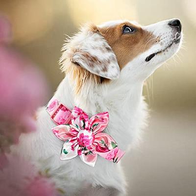 Beirui Cute Girl Dog Collars for Small Medium Large Dogs, Multiple Floral  Patterns Female Pet Dog Collars with Flower for Wedding Holiday(M:Neck