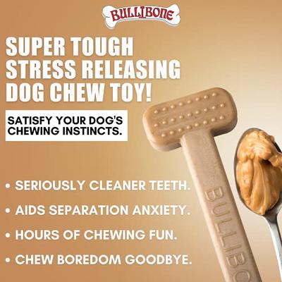 Arm & Hammer Ora Play Peanut Butter Flavor Dental T Bone Dog Toy 