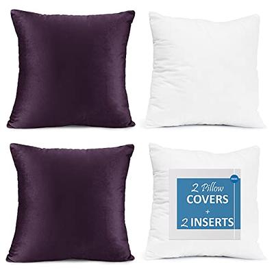 Pillow Insert Set of 4 18 x18 Down Alternative , Decorative Pillows for  Couch, Square Pillows Sofa