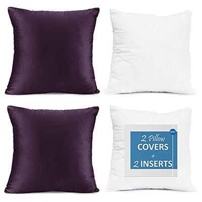 Throw Pillows with Inserts Included 18x18, 2 Pack Velvet