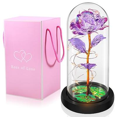 Beauty And The Beast Preserved Valentines Exclusive In Glass Dome