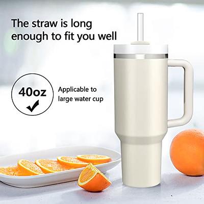 6pcs Replacement Straws for Stanley Adventure Quencher 40oz Travel  Tumblers, Reusable Plastic Straw with Cleaning Brush for Stanley Cup 40 oz  Water Jug Accessories (30cm / 11.8inch Long)