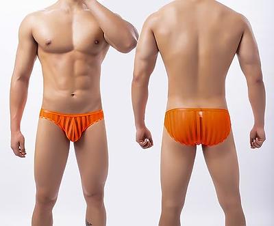 Swbreety Men's Striped Briefs Mesh Triangle Bikini Briefs Low Rise