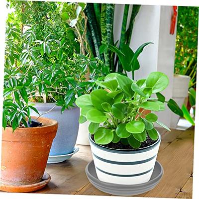 GANAZONO 3pcs Flower Pot Tray Mini Plants Plastic Flower Pot Mini Plant  Pots Round Plant Saucer Set Bonsai Water Base Plant Saucer Drip Trays  Balcony Flowerpot Trays Water Tray Platter Clay 