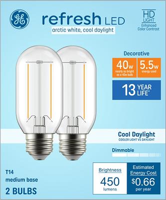 GE Cool Daylight 60 Watt Equivalent A15 Dimmable LED Light Bulb (2 Pack)