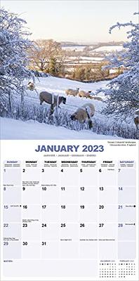 Hot Guys Calendar - Shirtless Men Calendar - Calendars 2023 - 2024 Wall  Calendars - Guys 16 Month Wall Calendar by Avonside