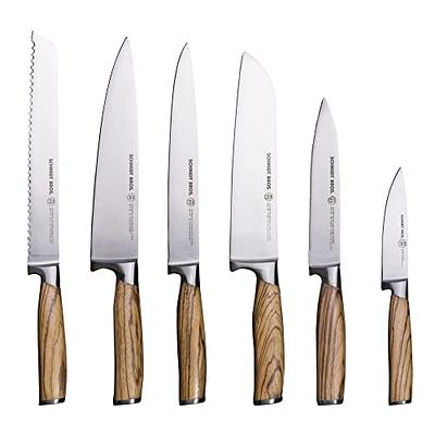 WELLSTAR Kitchen Knife Set 3 Piece, Razor Sharp German Stainless Steel  Blade and Comfortable Handle with Rainbow Titanium Coated, Chef Santoku  Paring for Cutting Dicing Mincing and Peeling, Gift Box 