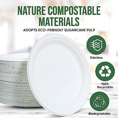 Pureegg Paper Plates 9 inch - 150 Packs, 100% Compostable & Disposable Plates, Heavy Duty Paper Plates for Dinner or Lunch, Sturdy Dinner Plates