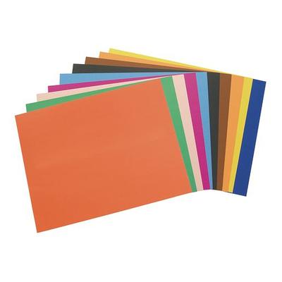 School Smart Bristol Board, 24 x 36 Inches, Assorted Colors, Pack of 100 