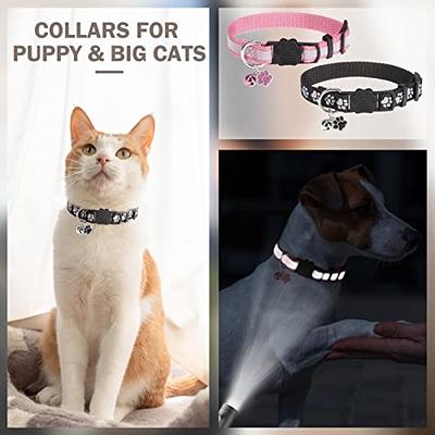 CollarDirect Leather Cat Collar with Bell - Kitten Collar, Small and Big  Cat Collar for Boy Cats, Girl Cats with Safety Elastic Strap (Neck Fit