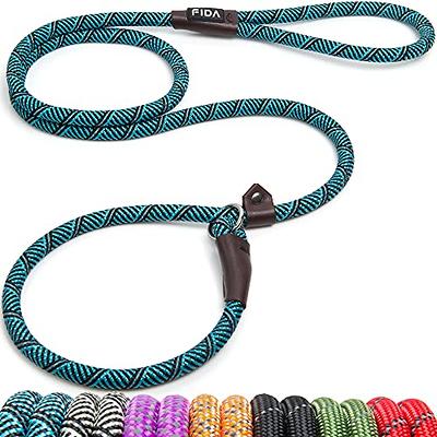  Brilliant Paw Slip Lead Dog Leash 6FT, Strong Braided