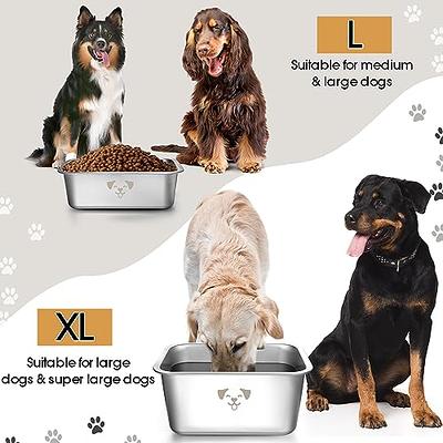 Nepfaivy Dog Bowls, Cat Food And Water Bowls Stainless Steel, Double Pet  Feeder Bowls With No Spill Non-Skid Silicone Mat, Dog Dish For S