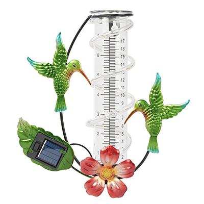  Oasis Digital Hygrometer - Small, Slim Hygrometer and  Thermometer with Digital Humidity Sensor Gauge for Precise Readings in  Various Storage Applications, Ideal for Herbal or Instrument Storage :  Health & Household