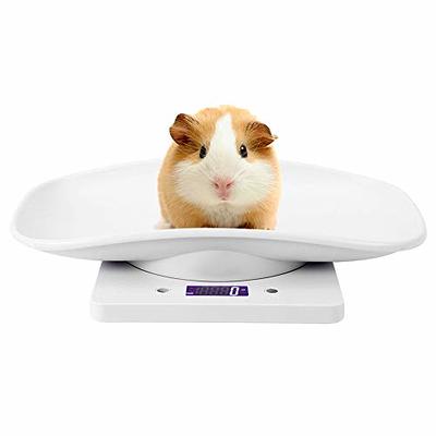 Small Pet Scale for cat and Dog, Baby Scale 10kg/1g Digital Small Pet Weight  Scale Multi-Function Baby Scale for Small pet Hatching and Food Weighing,  Measure Tool Electronic Kitchen Scale - Yahoo