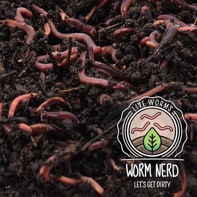 Worm Nerd Red Wiggler Live Worms, Composting Worms for Vermiculture/ Composting - 500 Pack ***Cannot Ship to Hawaii*** - Yahoo Shopping