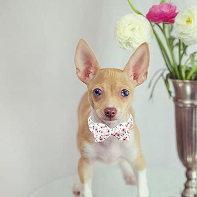  Elegant little tail Pink Leather Dog Collar, Durable Pet Collar,  Flower Pattern Bow Tie Dog Collar Adjustable Girl Dog Collars for X-Small  Dogs and Cats : Pet Supplies