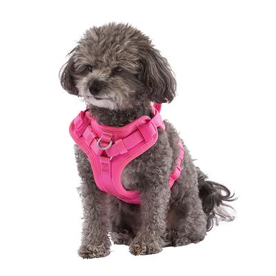 Top Paw Mesh Comfort Dog Harness in Navy Blue, Size: Small