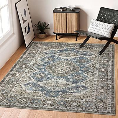 Area Rug, 4x6 ft Low-Pile Machine Washable Vintage Rugs for Living