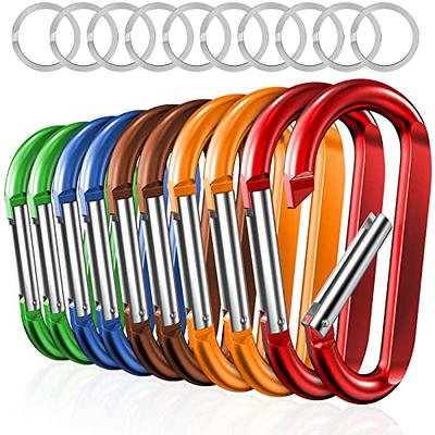 Abaodam 5 Pcs Metal Keychain Belt Key Hook Carabiner Key Clip Key Buckle  Clip Keychains for Car Keys Camping Clips Metal Snap Hook Car Key Ring Key