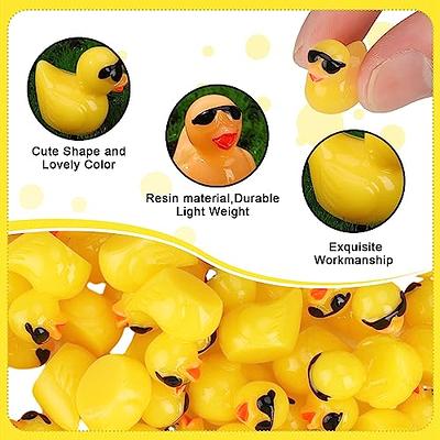 1.5 Micro Rubber Duck