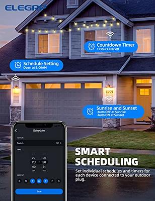 Outdoor Smart WiFi Dimmer Plug APP Remote Control and Google Assistant -  BN-LINK