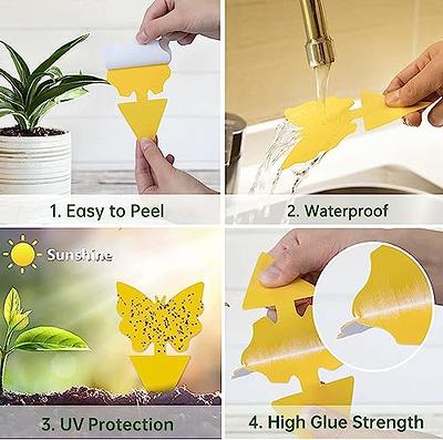 Fruit Fly Traps Fungus Gnat Traps Yellow Sticky Bug Traps Non