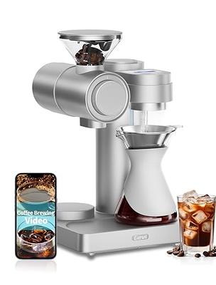 Hamilton Beach Convenient Craft Automatic or Manual Pour-Over