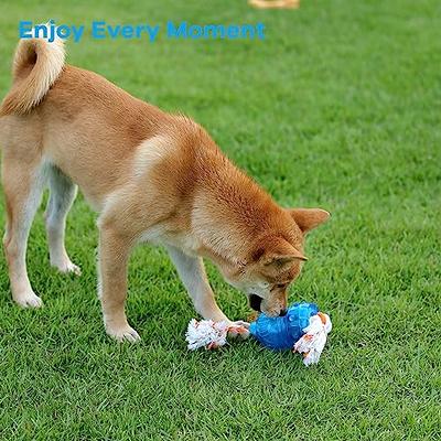 SCHITEC Tug Toy for Dogs, Bungee Tug of War Rope Toys with Squeaky