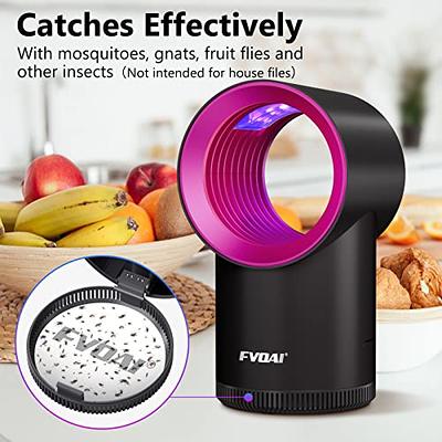 4 VEYOFLY Fly Trap, Plug in Flying Insect Trap, Fruit Fly Traps for Indoors-Safer  Home Indoor- Bug Light Indoor Plug in- Mosquito