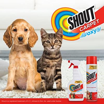  Resolve Pet Expert Stain and Odor Remover, Carpet