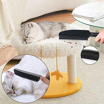 Bonpally bonpally pet hair removal broom rubber broom, carpet rake fur  remover broom with squeegee and telescoping handle, dog and cat